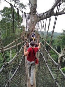 Weekend field trip to nearby Kakum National Park's canopy walk offers an opportunity for participants to jointly face their fears and build team trust. August 2015