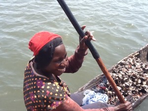 An oyster harvester in The Gambia (TRY Oyster Women’s Association)