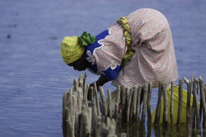 bending over by oysters