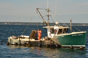      Salt Water Farms employees tend cages of shellfish at their aquaculture operation off Aquidneck Island. (credit: RI Sea Grant)