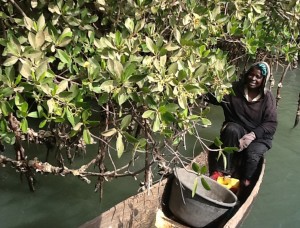 mangrovewoman